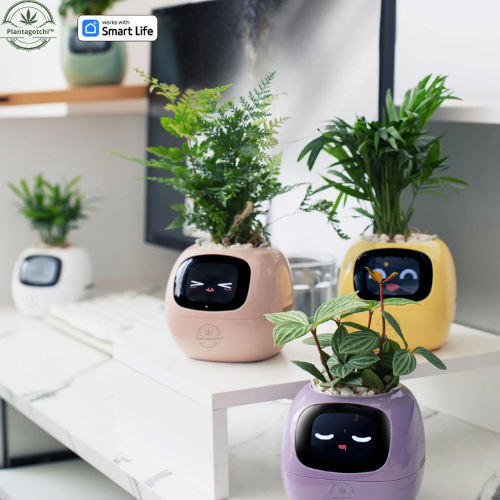 Plantagotchi™ Smart Plant Care